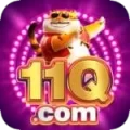 11q VIP v3.7.8